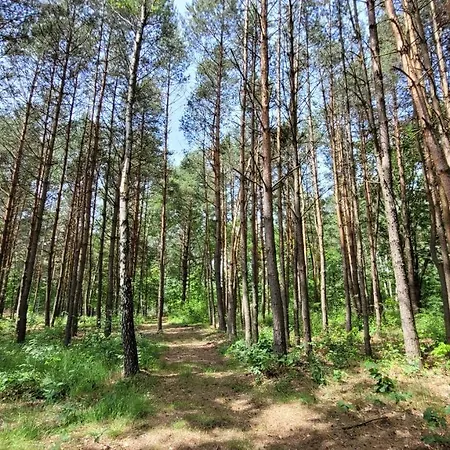 Casa de Férias Nad Stawami Dla Wedkarzy - Gospodarstwo Rybackie