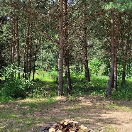 Nad Stawami Dla Wedkarzy - Gospodarstwo Rybackie *