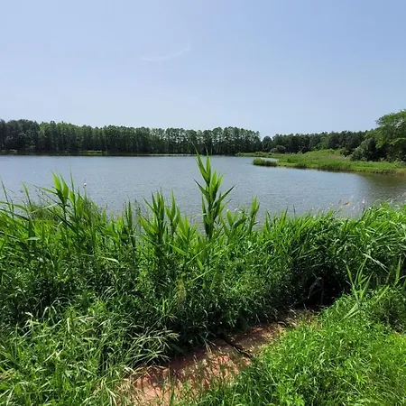 Nad Stawami Dla Wędkarzy - Gospodarstwo Rybackie Jaworznik