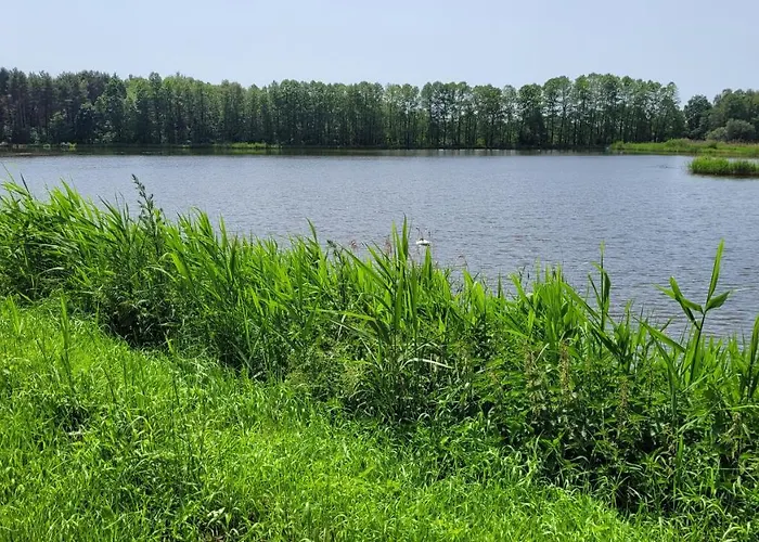 Nad Stawami Dla Wedkarzy - Gospodarstwo Rybackie *