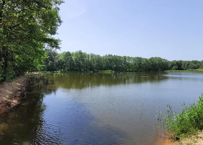 Nad Stawami Dla Wedkarzy - Gospodarstwo Rybackie Jaworznik