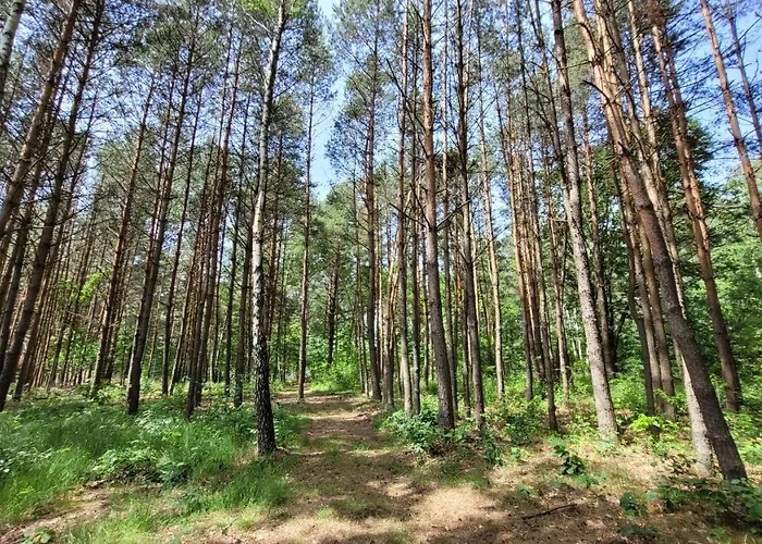 Vakantiehuis Nad Stawami Dla Wedkarzy - Gospodarstwo Rybackie