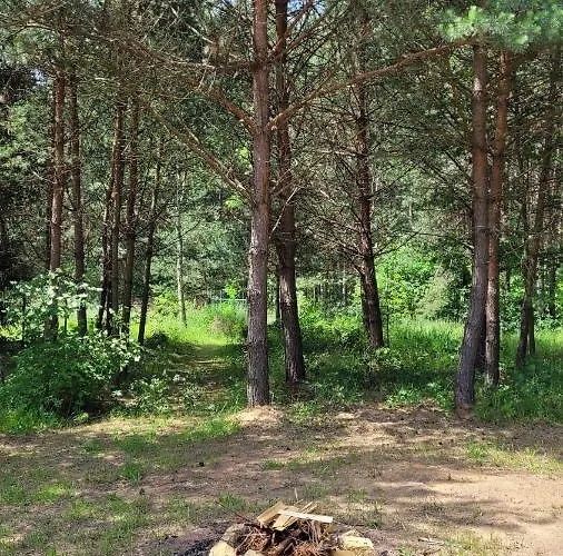 Nad Stawami Dla Wedkarzy - Gospodarstwo Rybackie *