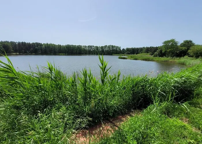 Nad Stawami Dla Wedkarzy - Gospodarstwo Rybackie Jaworznik